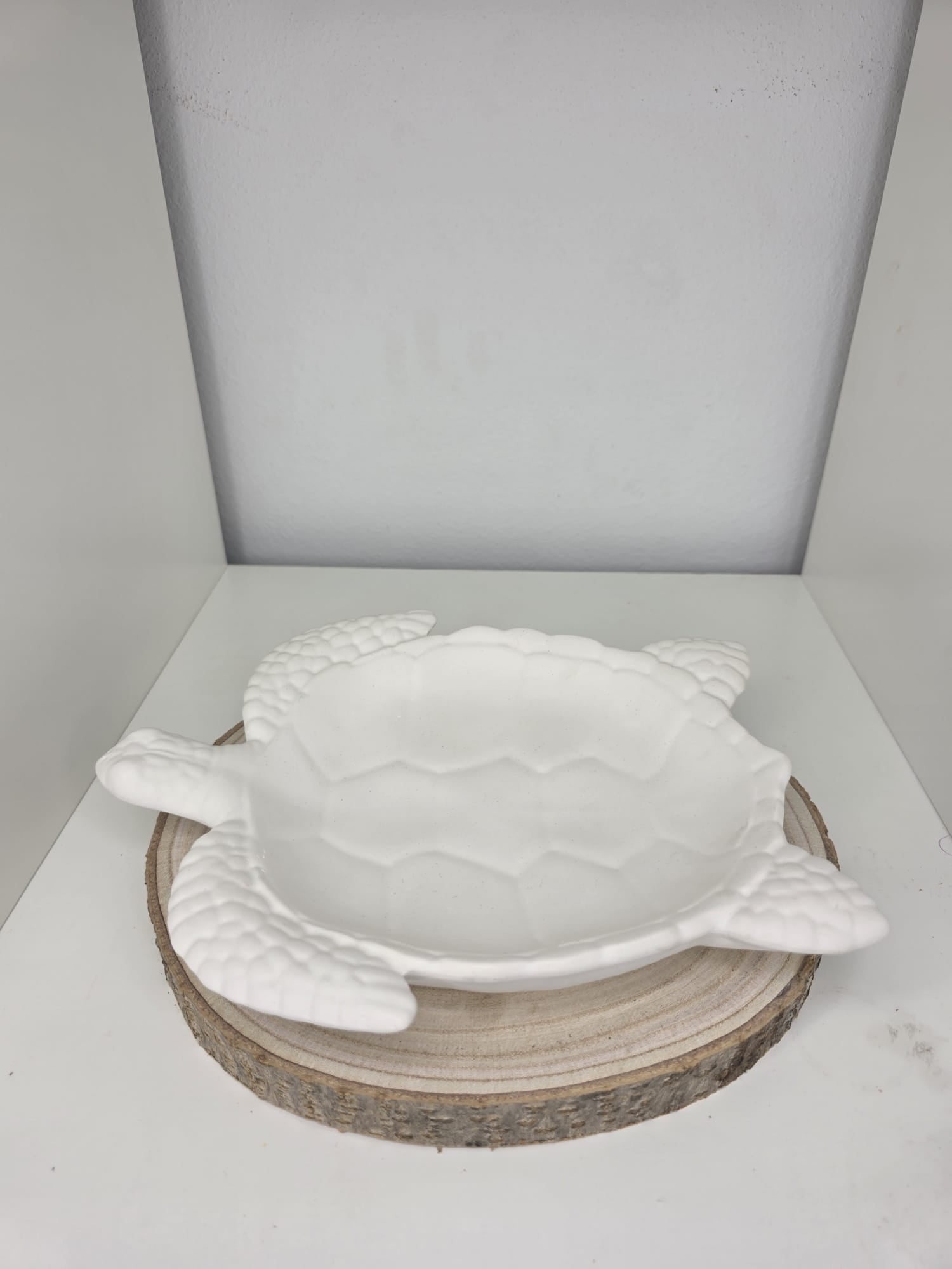 Bandeja Tortuga