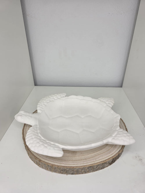 Bandeja Tortuga