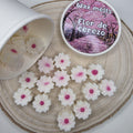 Wax melts  flor de cerezo