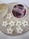 Wax melts Marrakesh